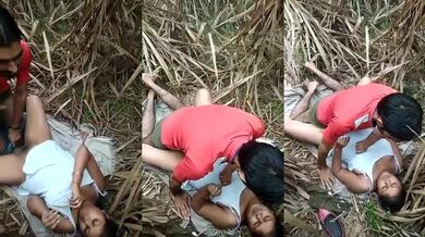 Desi Girlfriend Sharing XXX Jungle Porn Video